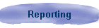 Reporting